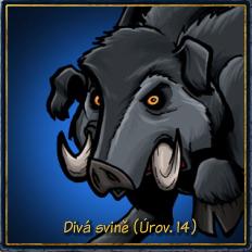 DIV_SV~1
